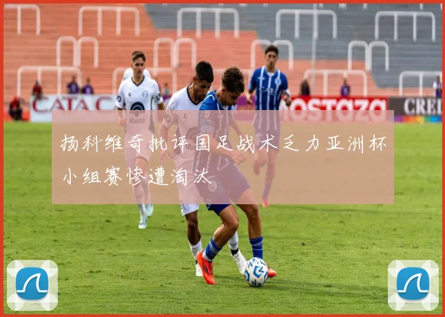 扬科维奇批评国足战术乏力亚洲杯小组赛惨遭淘汰