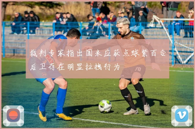 裁判专家指出国米应获点球紫百合后卫存在明显拉拽行为