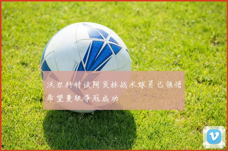 沃尔科特谈阿莫林战术球员已领悟希望曼联争冠成功