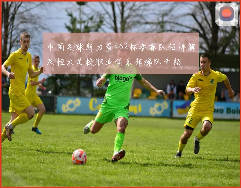 中国足球新力量462杯参赛队伍详解及恒大足校职业俱乐部梯队介绍