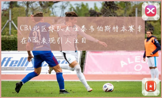 CBA北区球队关注泰韦伯斯特本赛季在NBL表现引人注目